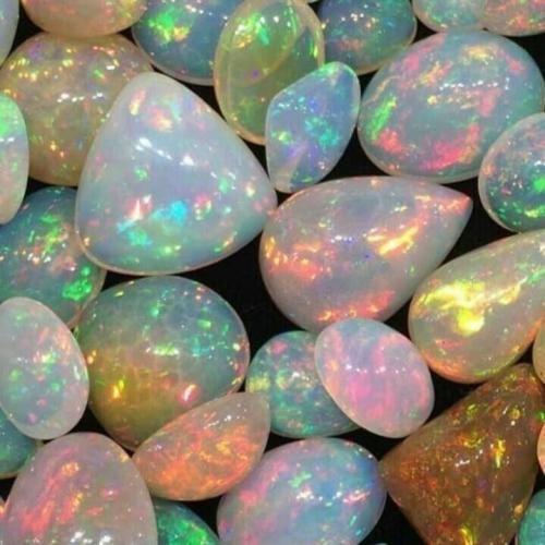  میگی یه دستم گله یه دستم پوچ من یه چشمم