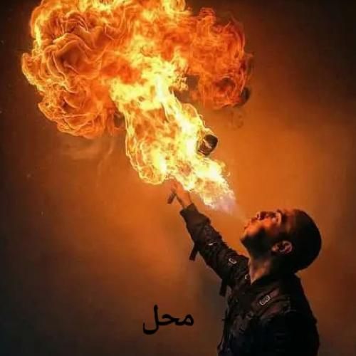 فدایی محل