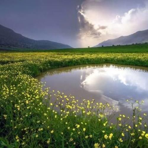  خودم جلو خودم وسط جنگ احساساتم شده