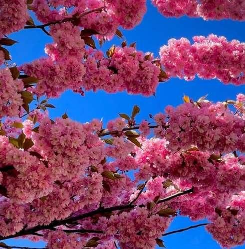  چقد عوض شدی دیگه مثل قبلنا نمیخندی