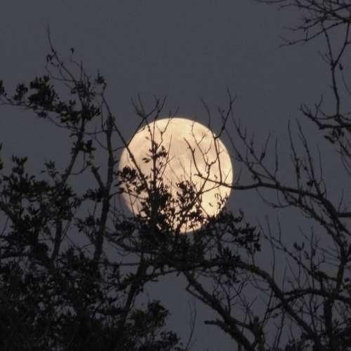  هنوز نگاهت با منه حرفایی که می‌زدی رو یادمه