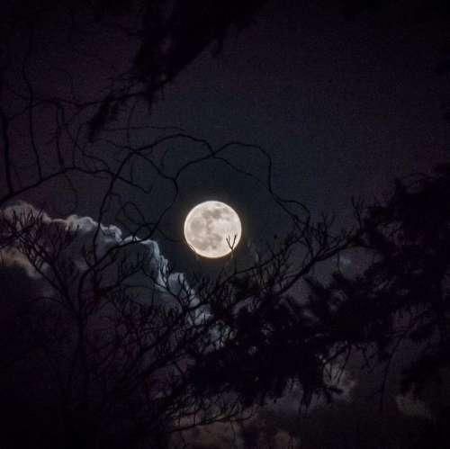 به ما که رسید بد شد تلخ شد سخت شد