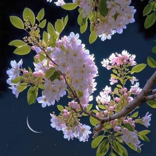 با اینکه نبودی با من خوب همه حرفاتو یادم موندش