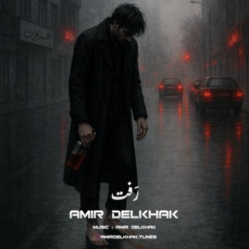 امیر دل خاک رفت