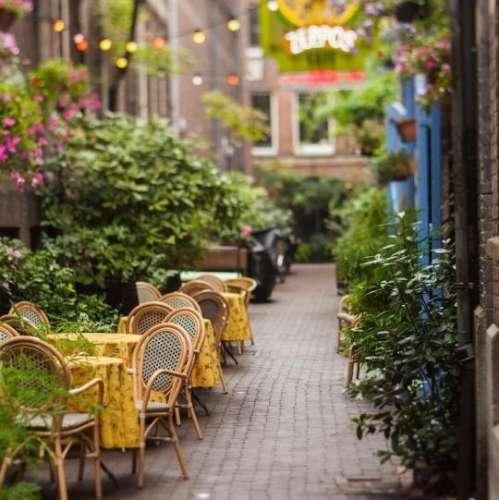 من شک دارم به شادیای شما دیدی بعضیا انقدر دارن