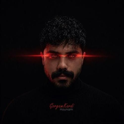 هونام گرگم کردی