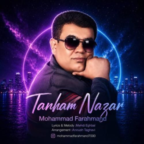 دانلود آهنگ تنهام نزار از محمد فرهمند