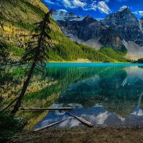 دانلود آهنگ دلبر دنیام تویی همتا نداری آرش خوشنواز