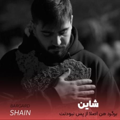 شاین برگرد من اصلا از پس نبودنت بر نمیام